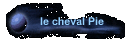 le cheval Pie